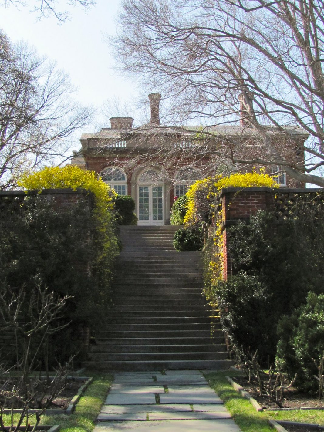 Plantele care îți colorează grădina iarna