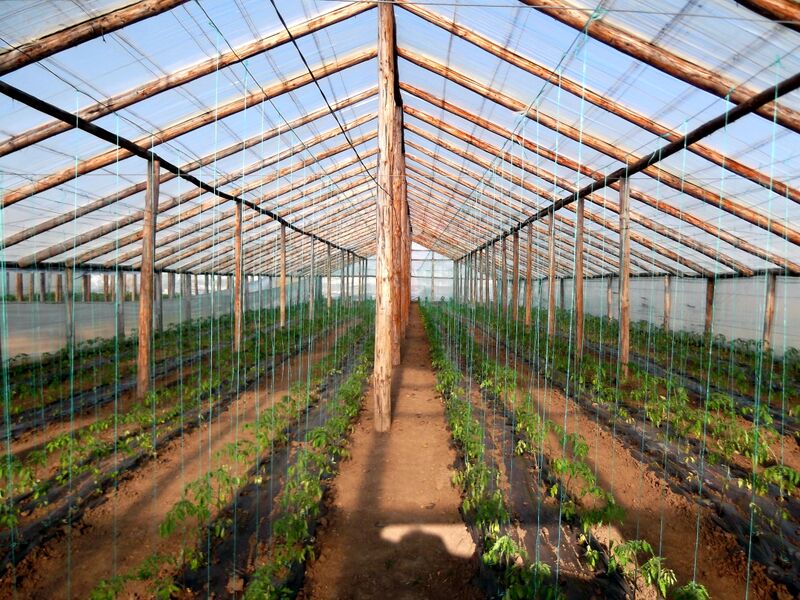 SOqF9LkSMB_Y7H46nz-hR8fiBDAs79xF4SQr-TKNdOg