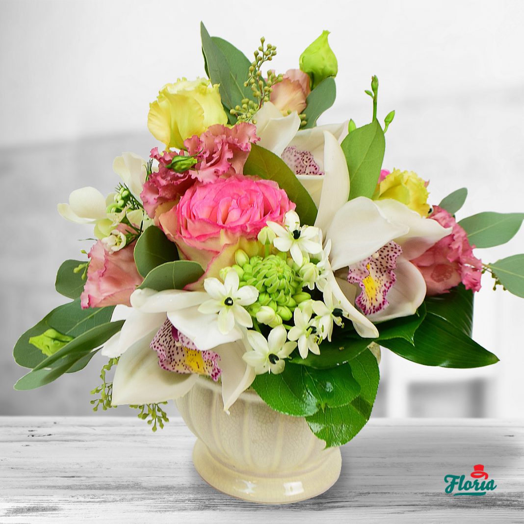 Orhideea Cymbidium, bijuteria colecției Floria.ro