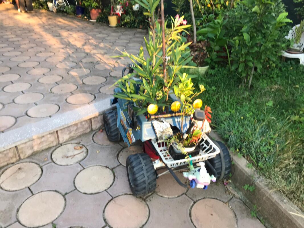 Ambalajele buchetelor de flori – artă, funcționalitate și tendințe eco