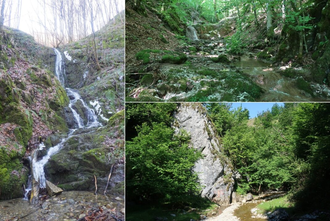 Cucuruzul – Valea Cascadei – Valea Iederii de pe Sohodolul Căbeștilor Cucuruzul – Valea Cascadei – Valea Iederii de pe Sohodolul Căbeștilor