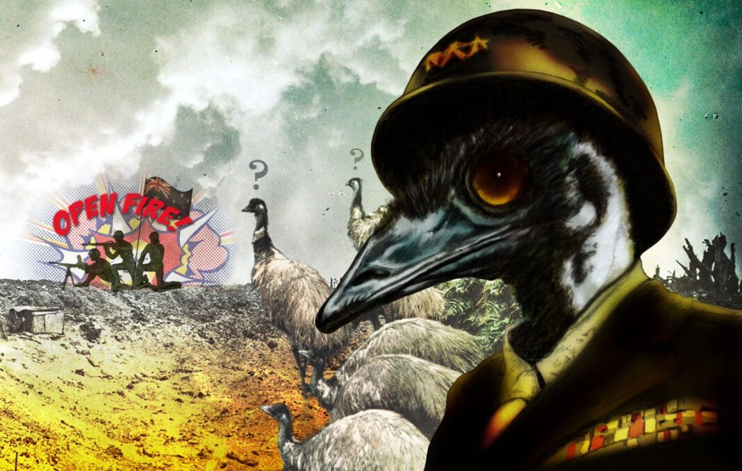 Războiul cu emu, unul dintre cele mai ciudate evenimente din istorie