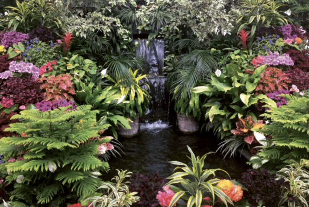 Cascada din grădină, de la vis la realitate