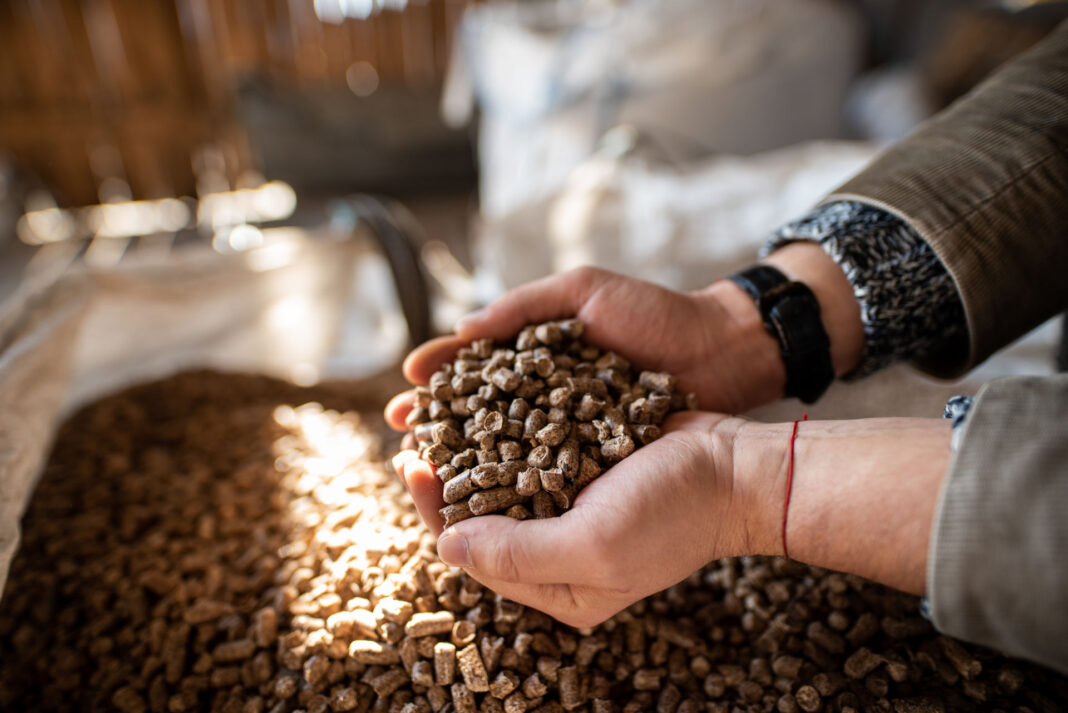 Ce tipuri de peleți există și care sunt cele mai eficiente?