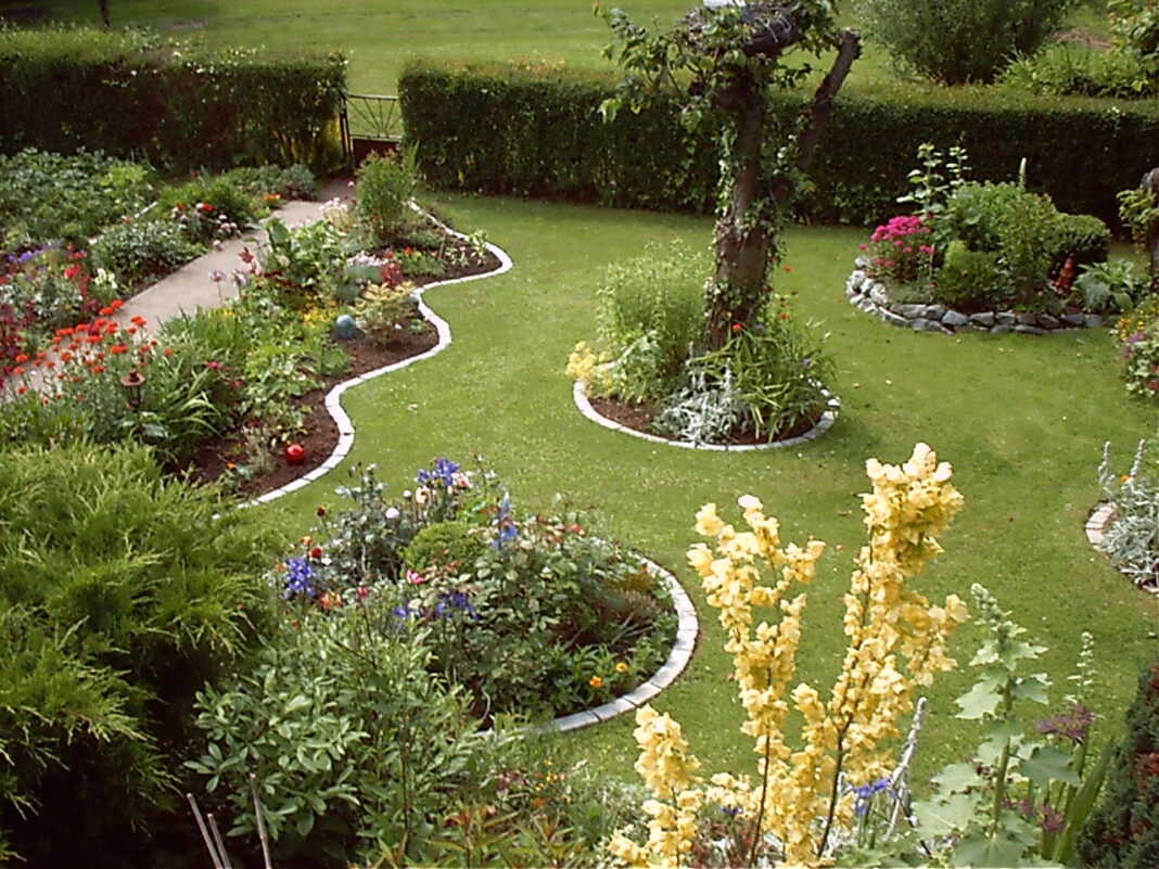 Întreținerea spaților verzi din curtea ta. Uite ce trebuie să faci