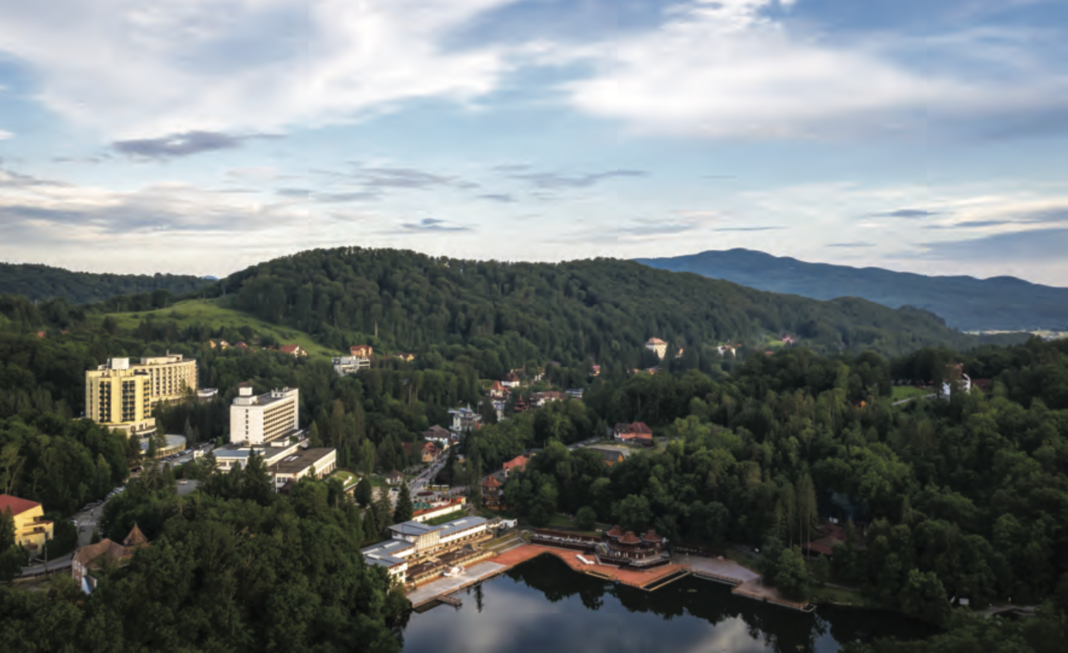 Screenshot 2022-08-12 at 09.31.48