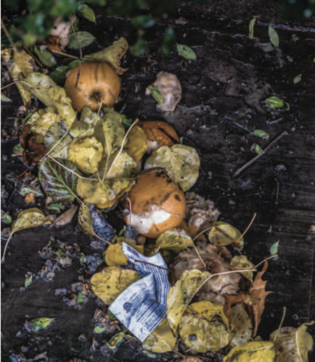 Screenshot 2022-08-12 at 09.58.37