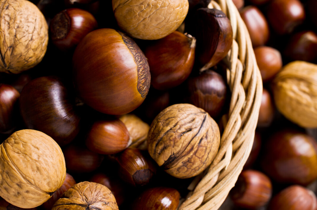 Copaci ocrotiți de lege. Ce amendă primești dacă tai acești copaci