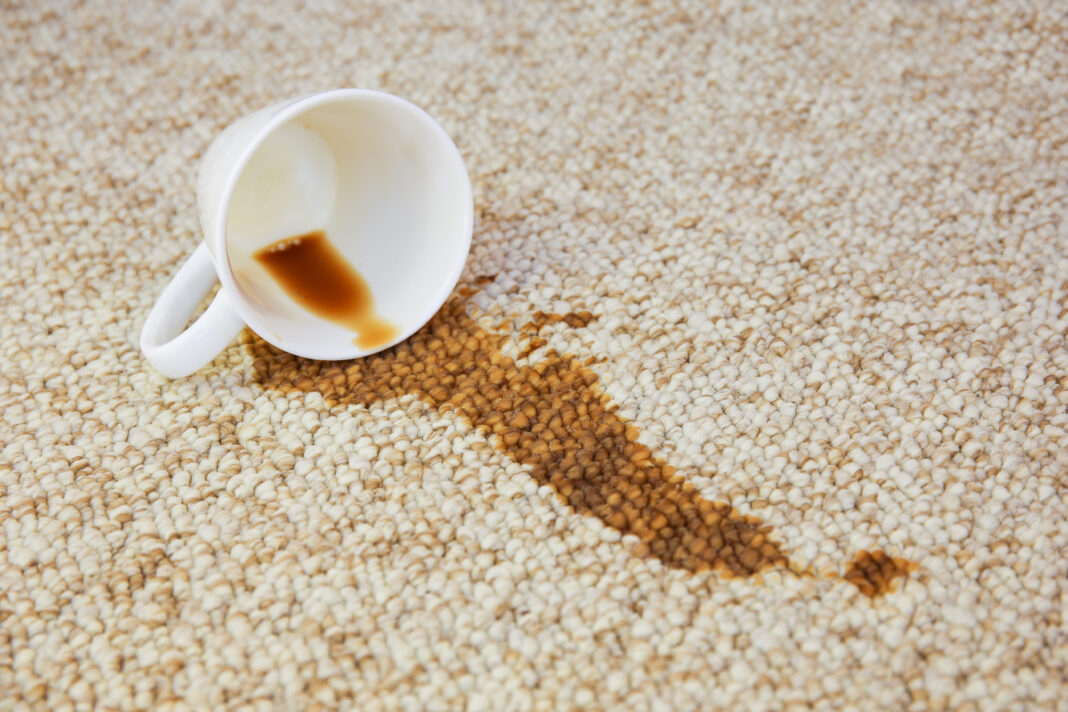 Cup of coffee fell on carpet. Stain is on floor.