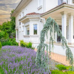 Un exterior cu flori şi terasă acoperită