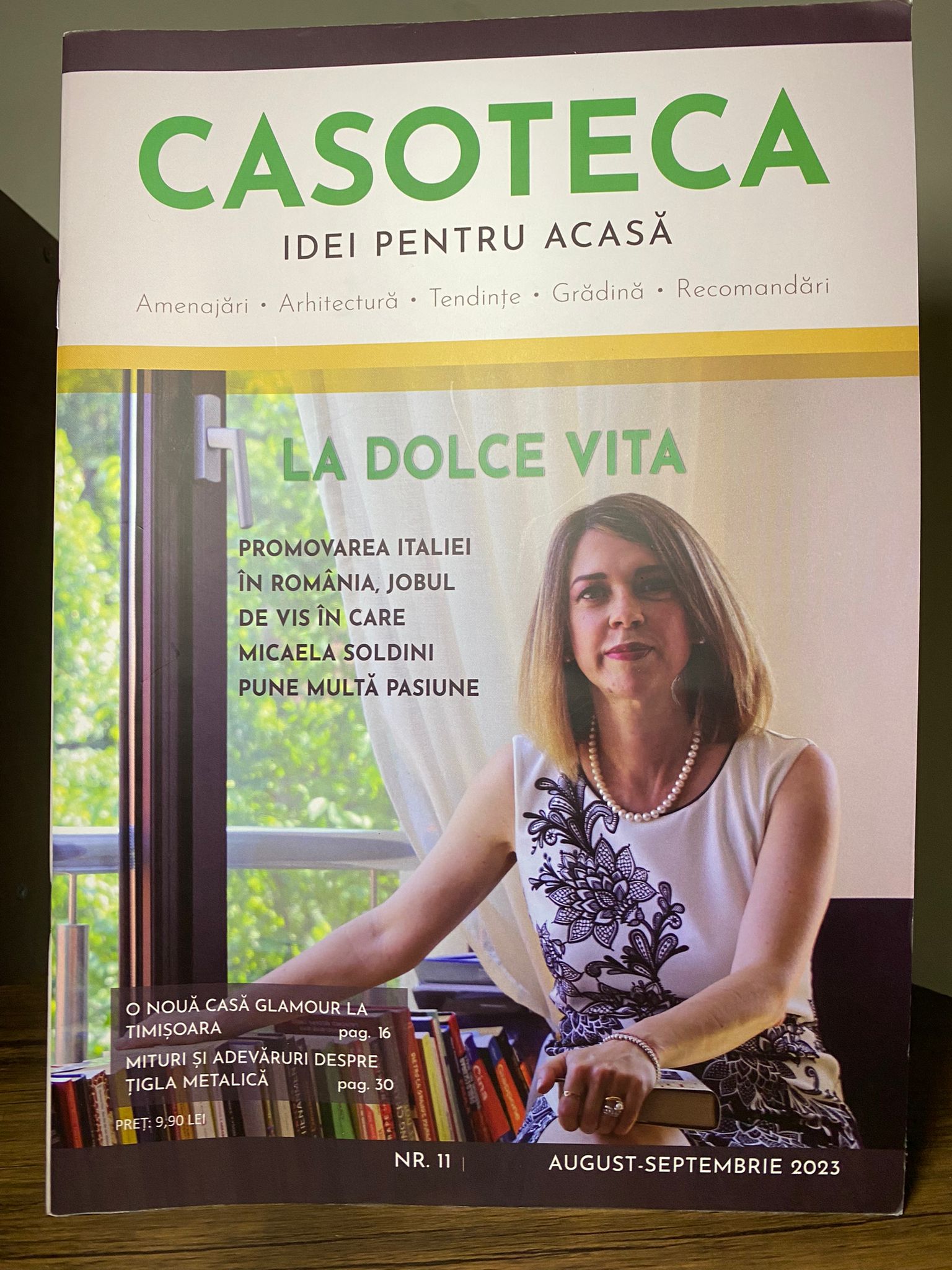 Revista 11 Casoteca