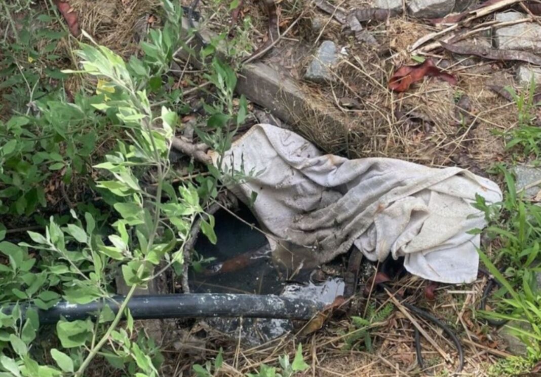 O firmă din Vadu deversa ape neepurate pe terenuri din Rezervaţia Biosferei Delta Dunării