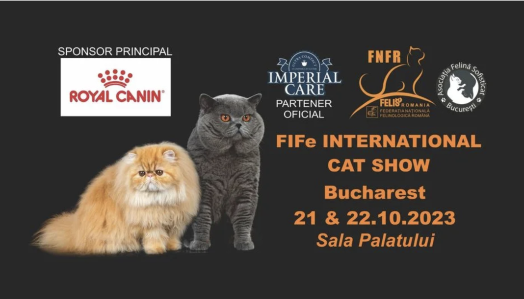 SofistiCAT 2023 ediția de toamnă: Expoziția de pisici a revenit la Sala Palatului