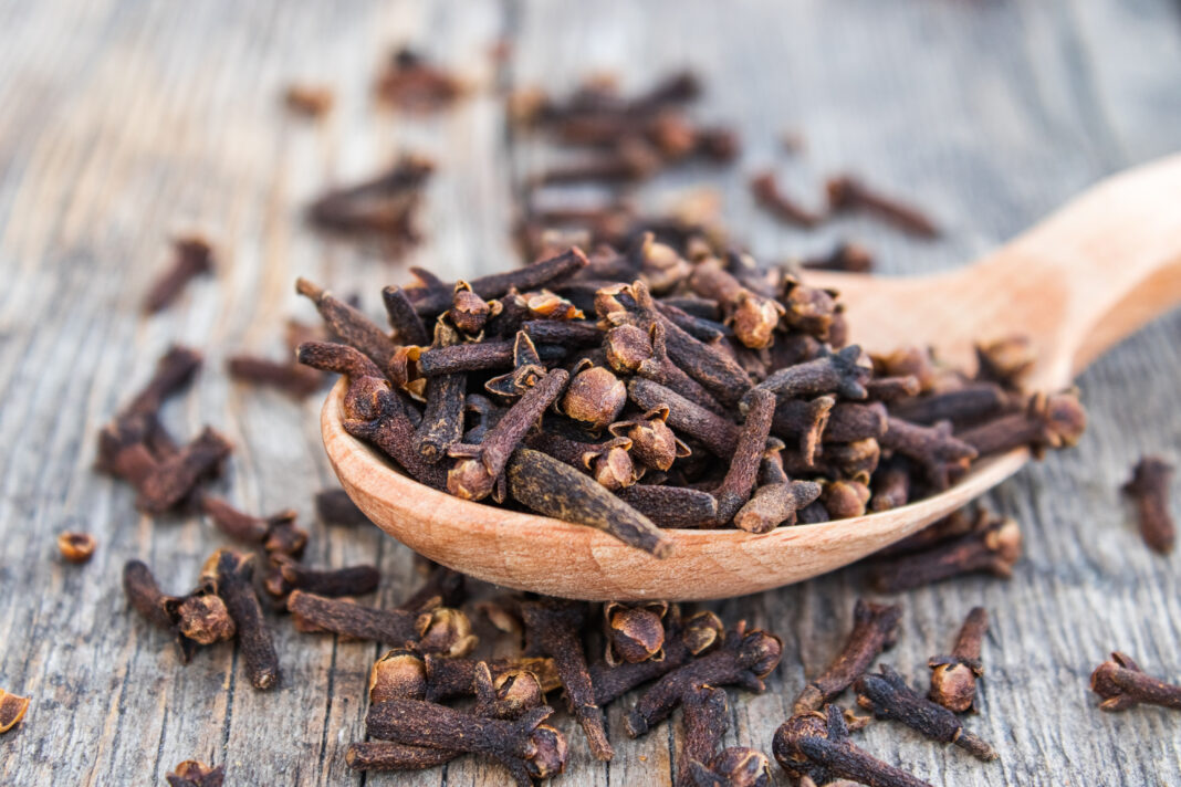 A spice of dried cloves lies on a wooden spoon and is scattered on old wooden boards.