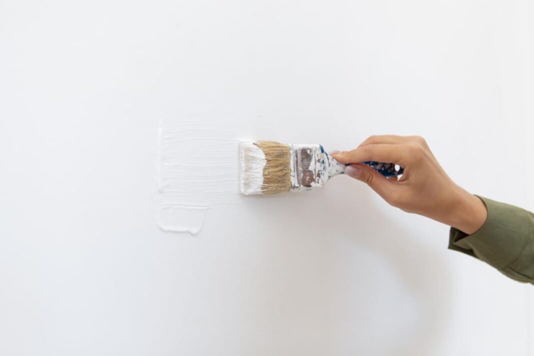 De ce crapa vopseaua? Afla trucuri si metode simple pentru o zugravire fara batai de cap!