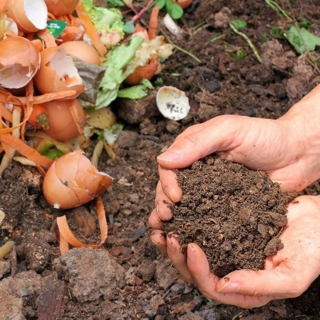 Cum să faci compost acasă: o soluție naturală pentru o grădină sănătoasă