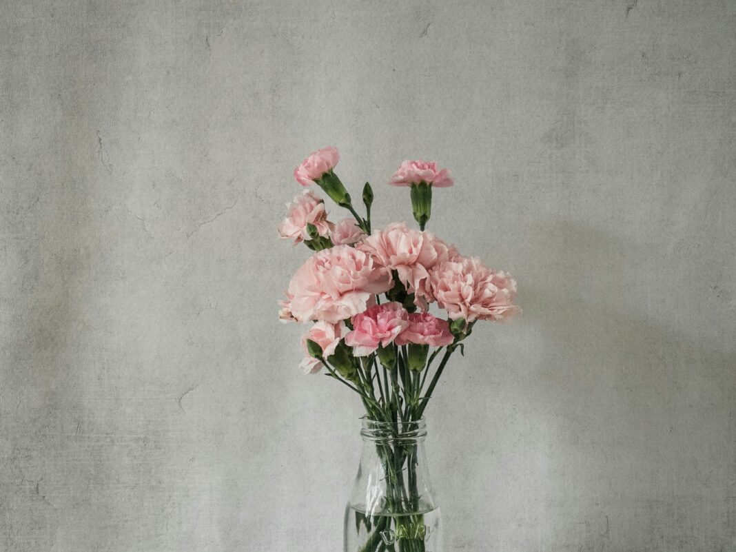 Ghidul Garoafelor: Tipuri, semnificații și cum să le alegi pentru aranjamente