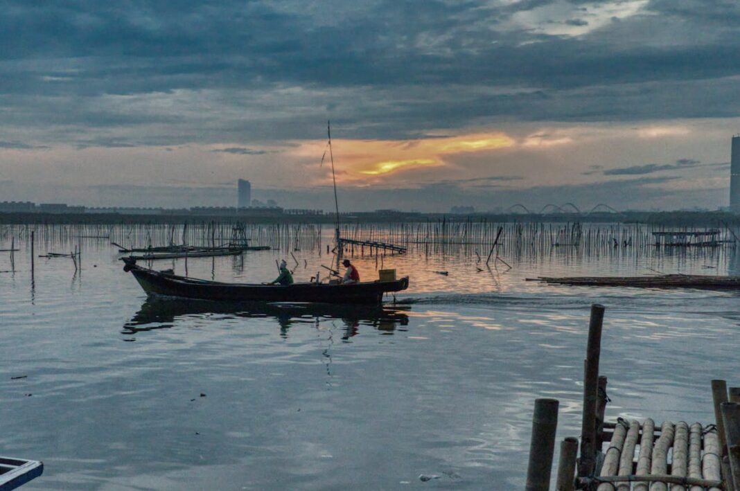 Mulineta și lanseta – cum să găsești armonia perfectă între putere și sensibilitate