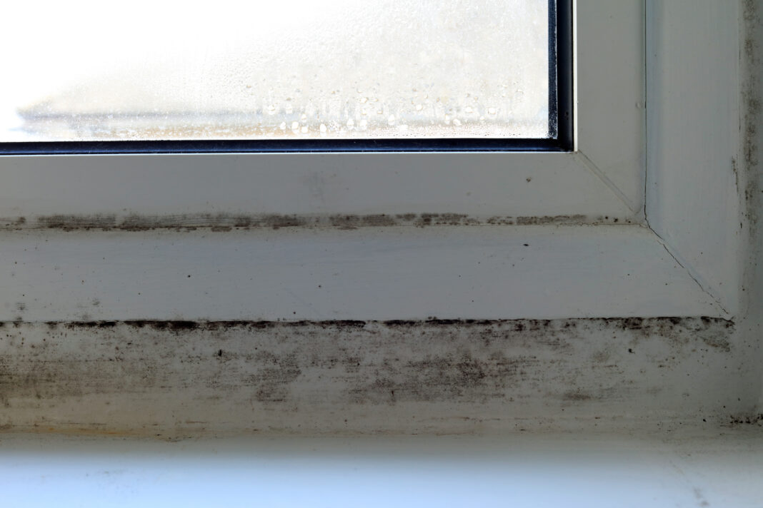 mould growth on an indoor window frame