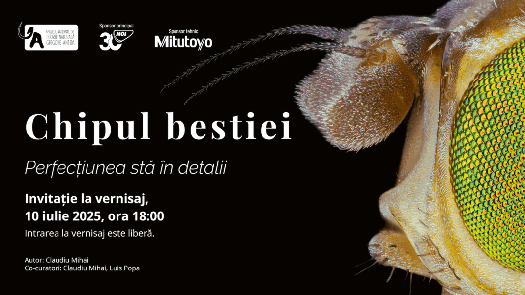 ”Chipul bestiei” – o expoziție fascinantă despre perfecțiunea insectelor