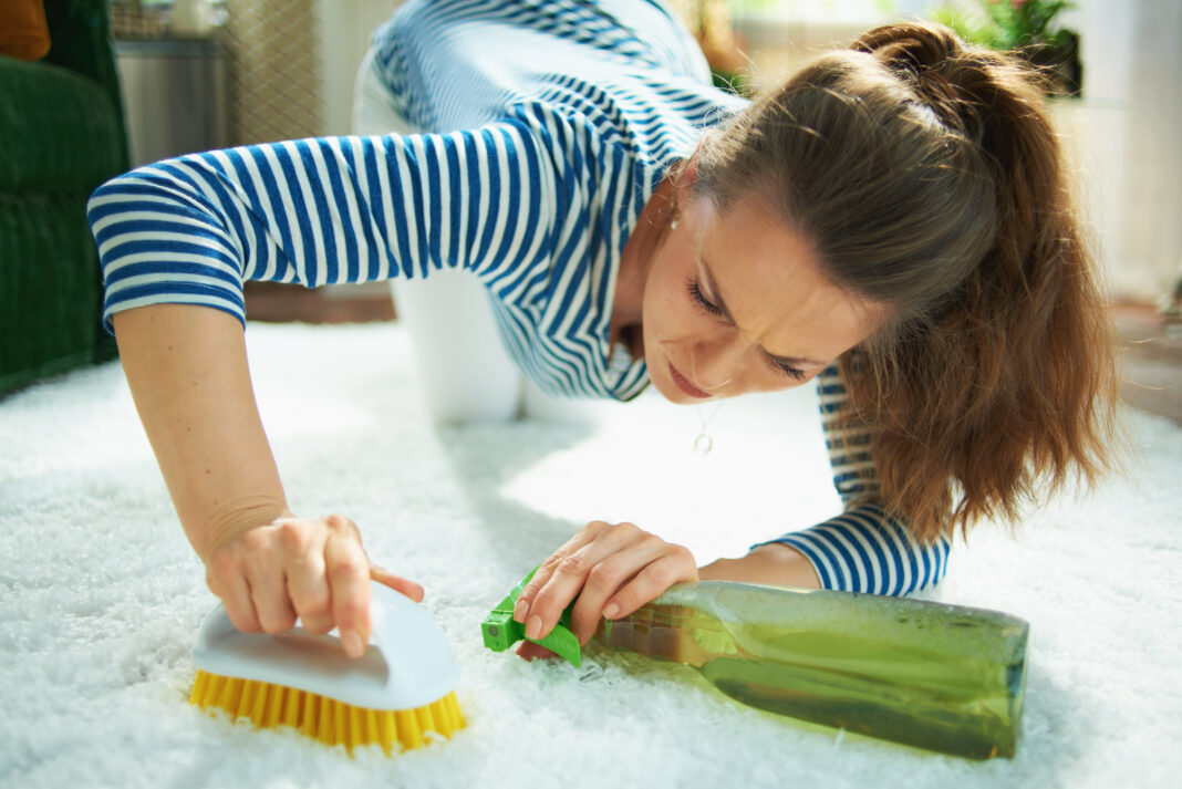 focused modern woman with cleaning agent and brush clean carpet