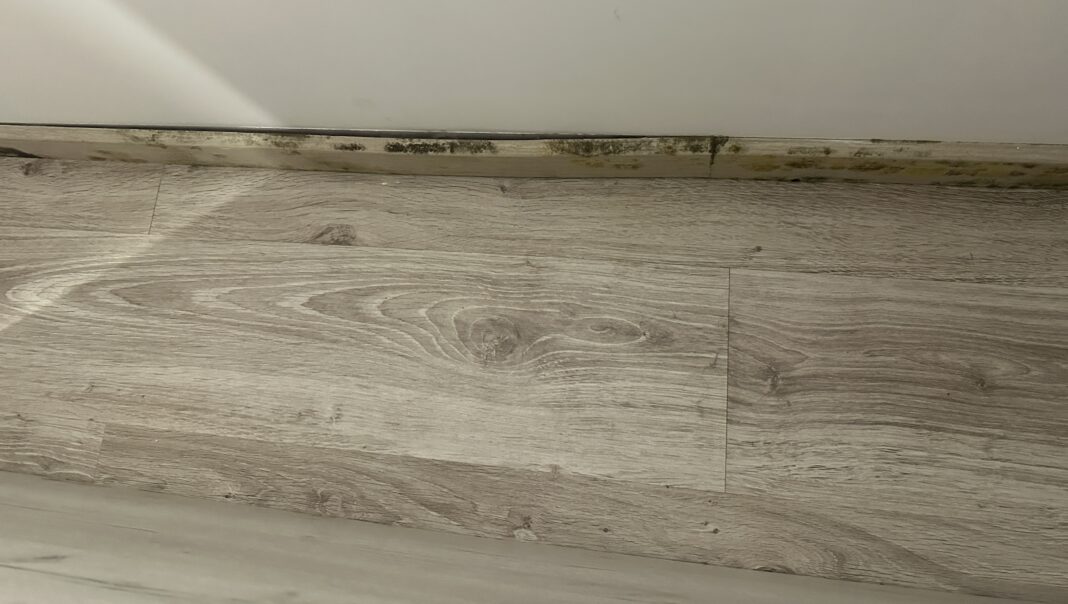 Cum scapi de mucegai după o inundație: soluții pentru parchet și pereți umezi