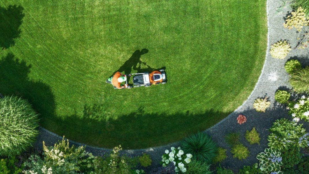 HomeRun Gardening (Medium)